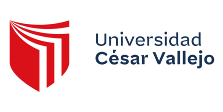 Universidad Cesar Vallejo